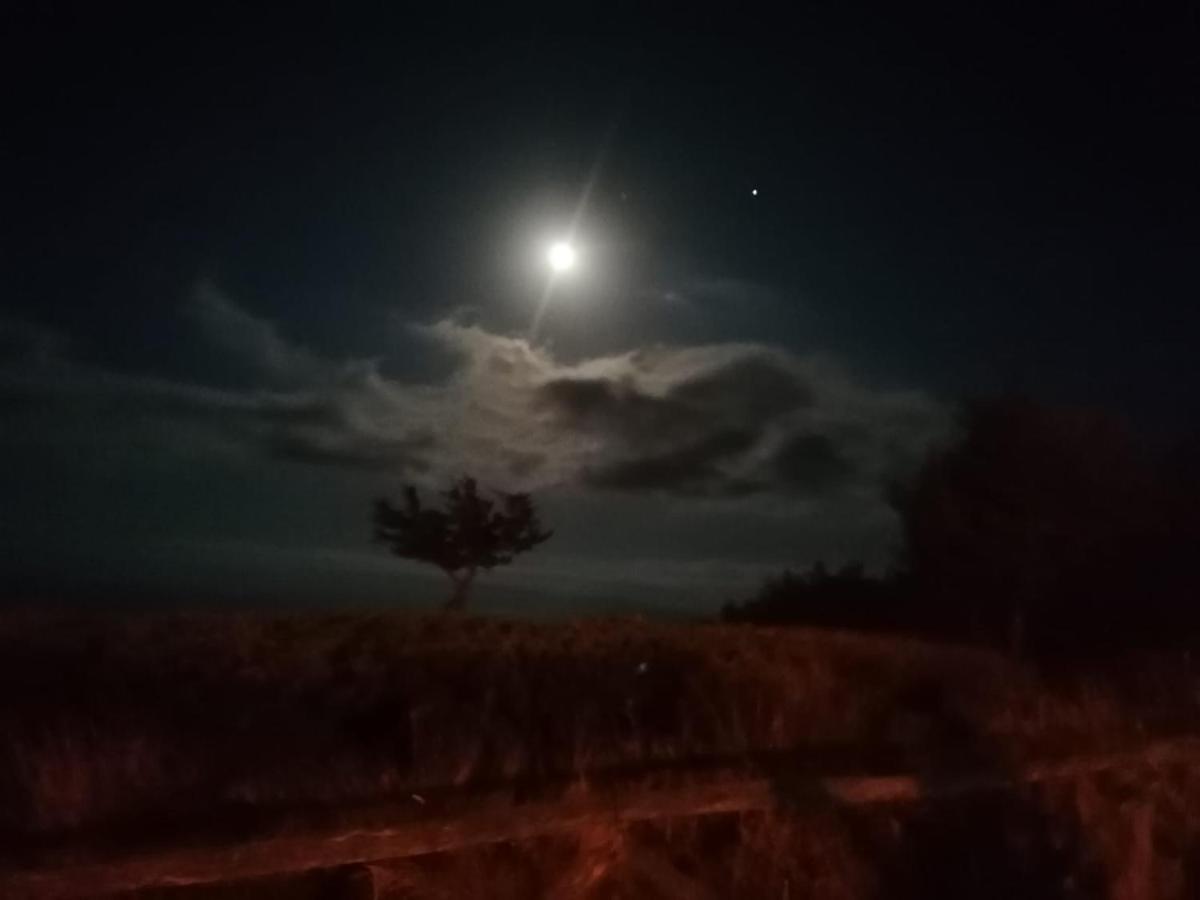 Luna E Mare Villa Cala Gonone Luaran gambar